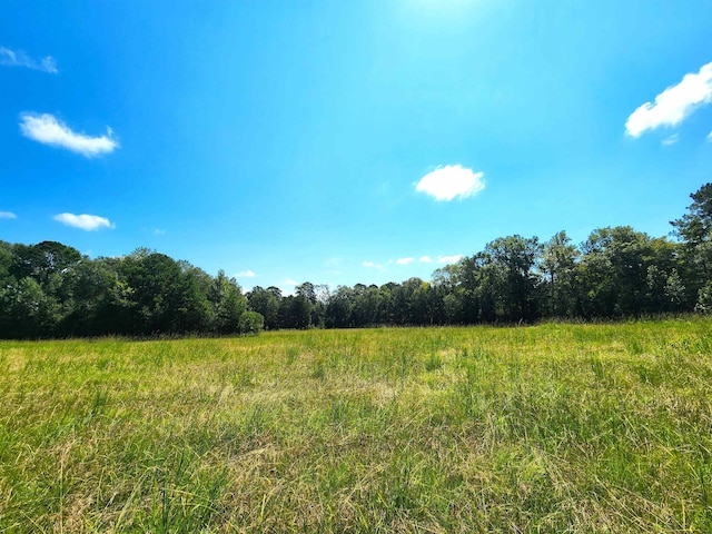 Listing photo 3 for 1476 Whitetail Rd, Bronson TX 75930