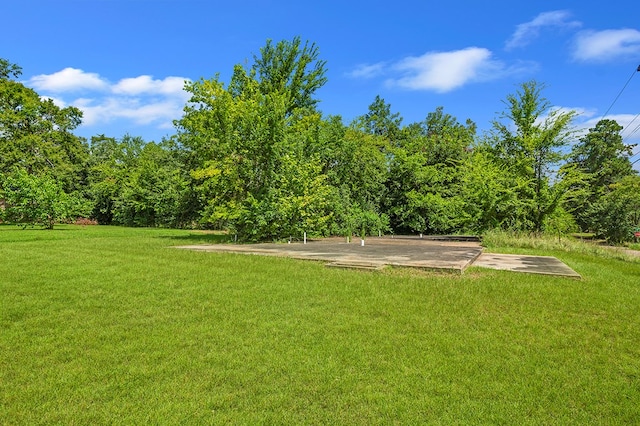 429 N Zavalla Dr, Jasper, TX 75951 - photo 21