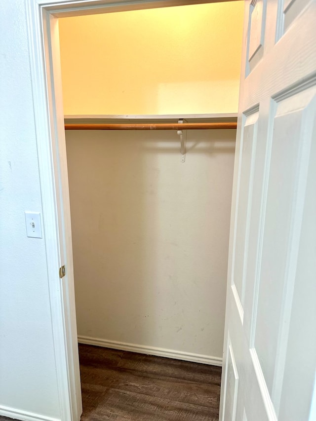 walk in closet with hardwood / wood-style flooring