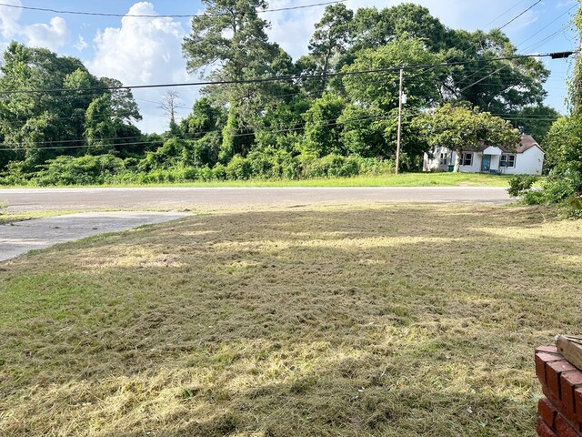 709 Pine Ave, Woodville, TX 75979 - photo 9
