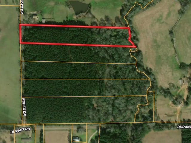 695 Rodeo Dr, Pollok, TX 75969 - photo 4