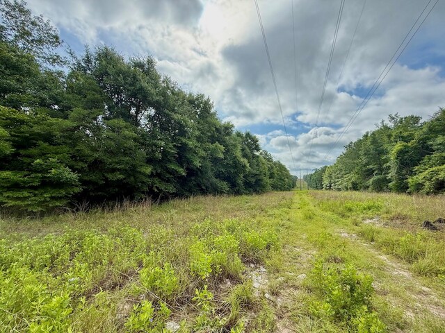 ID64762 Otis St, Jasper, TX 75951