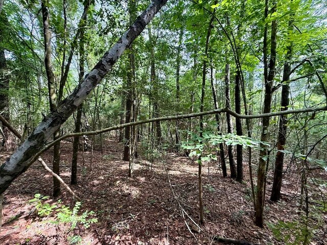 ID64762 Otis St, Jasper, TX 75951