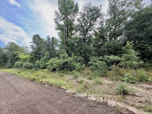 ID64762 Otis St, Jasper, TX 75951