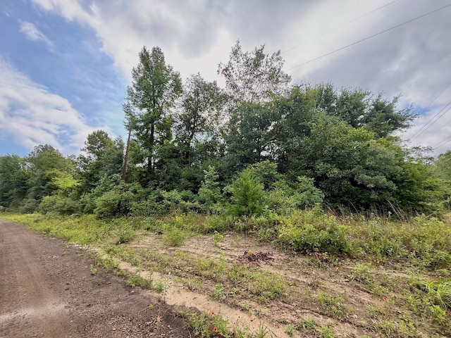 ID64762 Otis St, Jasper, TX 75951