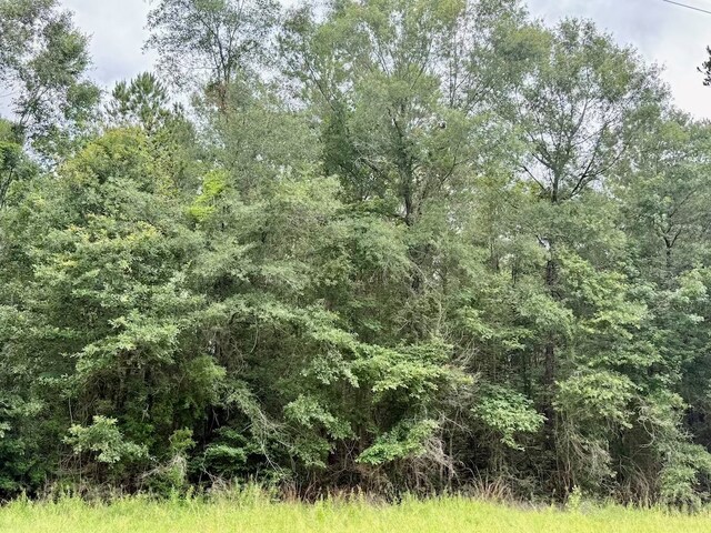 ID64762 Otis St, Jasper, TX 75951
