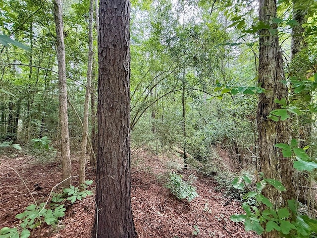 ID64762 Otis St, Jasper, TX 75951