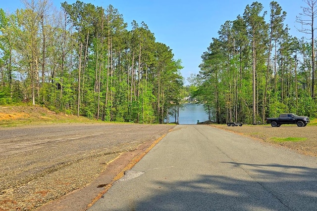 202 Bay Dr, Burkeville, TX 75932 - photo 10