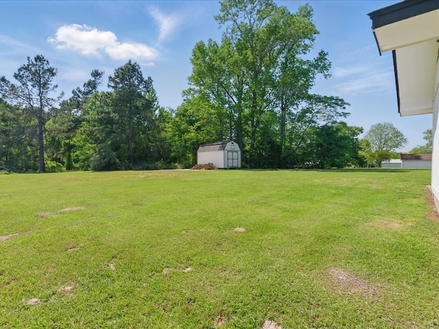 view of yard featuring an outbuilding and a storage unit