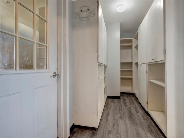 walk in closet featuring wood finished floors