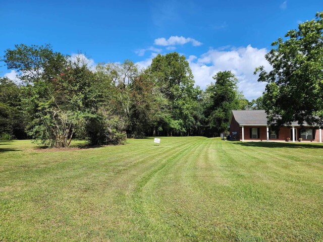 515 N 4th St, Timpson, TX 75975 - photo 3
