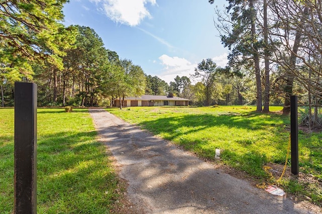 exterior space with a yard