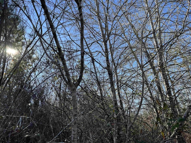 8985 County Road 363, Newton, TX 75966 - photo 6