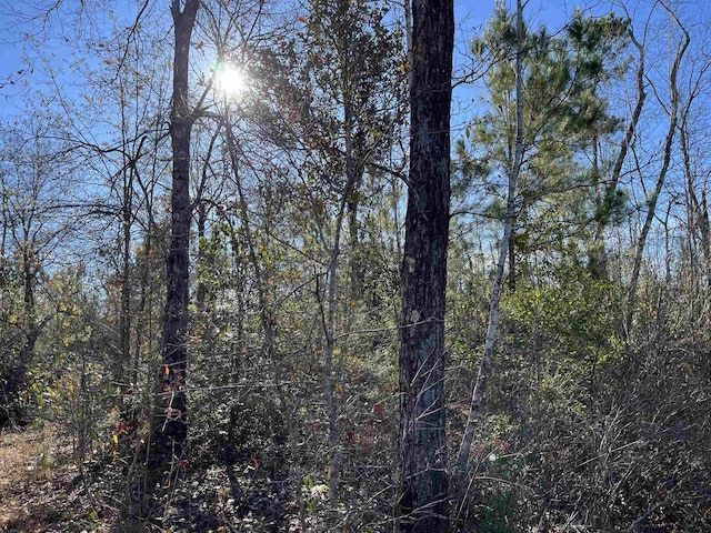 8985 County Road 363, Newton, TX 75966 - photo 10