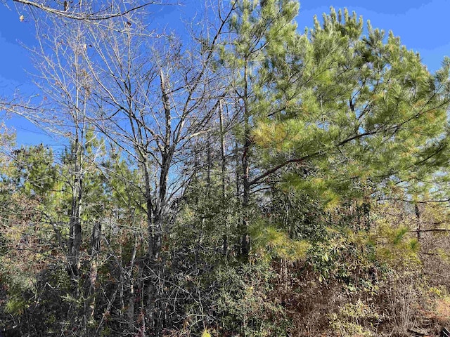 8985 County Road 363, Newton, TX 75966 - photo 8