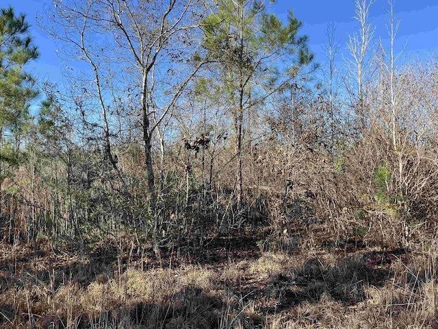 8985 County Road 363, Newton, TX 75966 - photo 9
