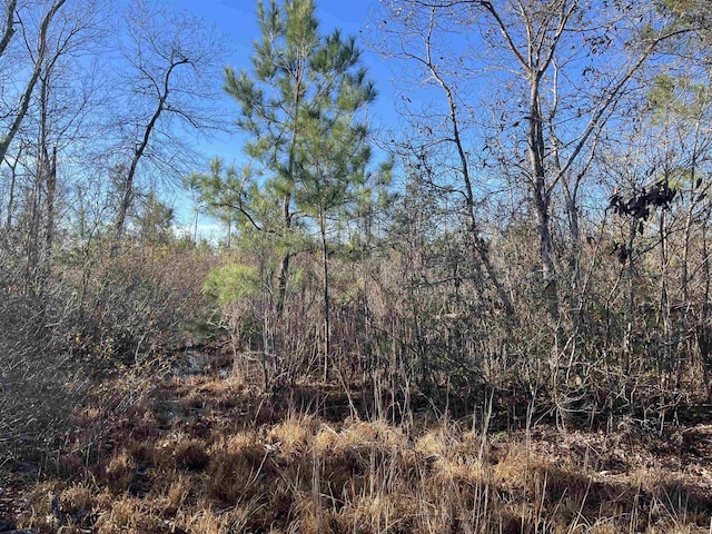 8985 County Road 363, Newton, TX 75966 - photo 3