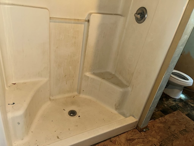 bathroom featuring toilet and a stall shower
