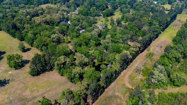 486 Brookwood Dr, Diboll, TX 75941 - birds eye view of property