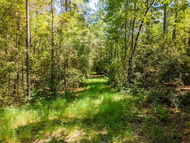 Listing photo 3 for TRACT4.4 Frazier Rd, Zavalla TX 75980