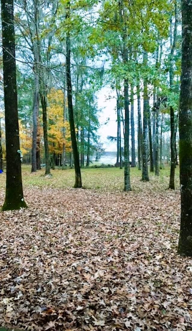 view of landscape