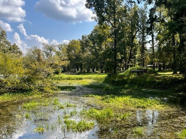 view of local wilderness featuring a water view