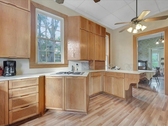 kitchen with kitchen peninsula, light brown cabinets, light hardwood / wood-style flooring, and a drop ceiling