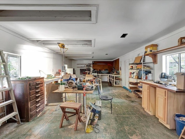 miscellaneous room with a workshop area and dark hardwood / wood-style flooring