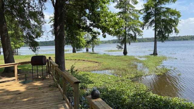 800 Grandview Dr, Hemphill, TX 75948 - photo 48