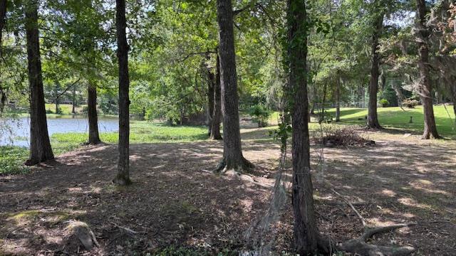 800 Grandview Dr, Hemphill, TX 75948 - photo 46