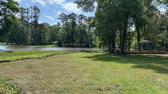800 Grandview Dr, Hemphill, TX 75948 - photo 50