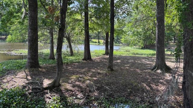 800 Grandview Dr, Hemphill, TX 75948 - photo 49