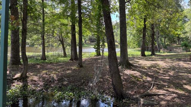 800 Grandview Dr, Hemphill, TX 75948 - photo 41