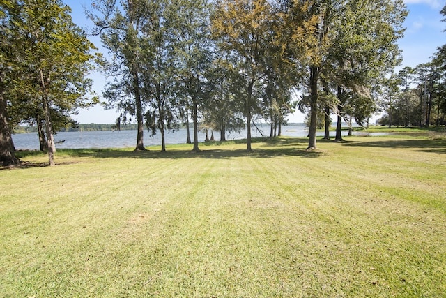 800 Grandview Dr, Hemphill, TX 75948 - photo 11