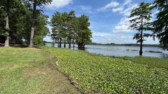 800 Grandview Dr, Hemphill, TX 75948 - photo 45