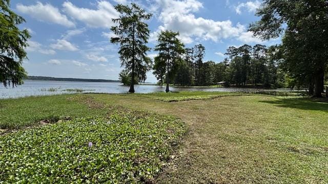 800 Grandview Dr, Hemphill, TX 75948 - photo 44