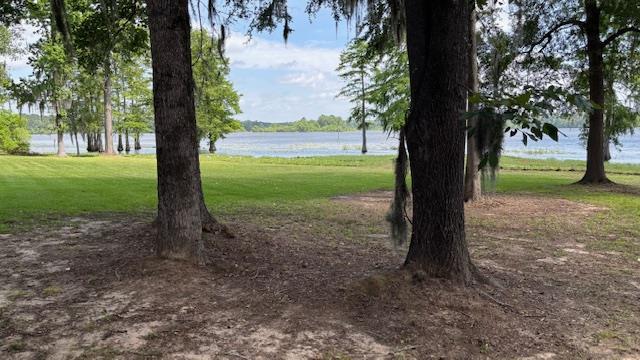 800 Grandview Dr, Hemphill, TX 75948 - photo 1