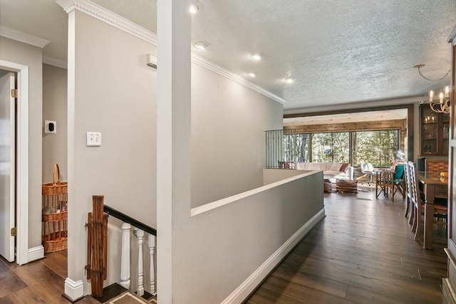 hallway with a textured ceiling, dark hardwood / wood-style flooring, and crown molding