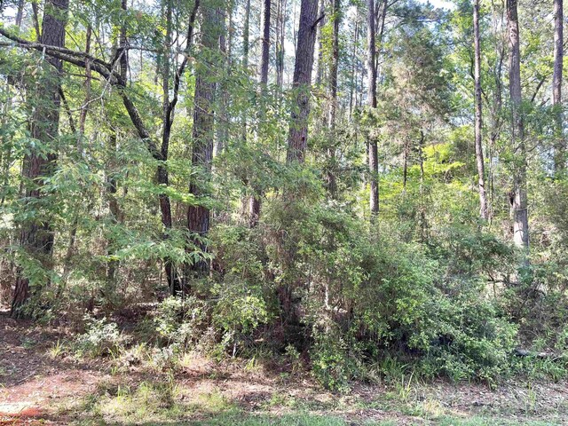 R000114381 Starfish Dr, Hemphill, TX 75948