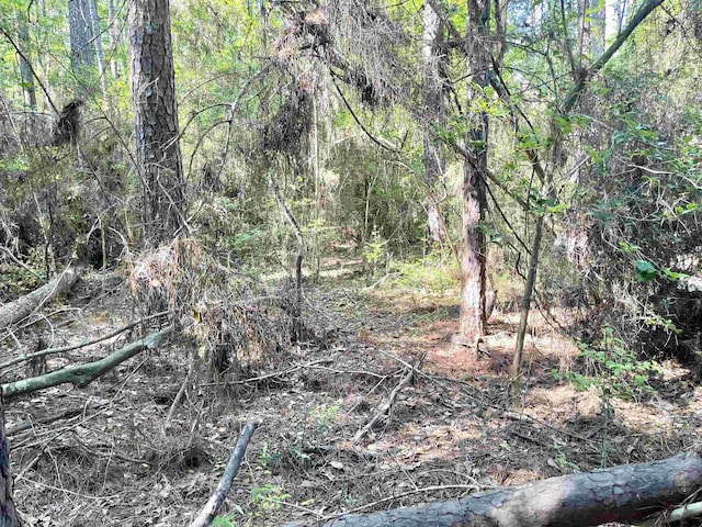 R000114381 Starfish Dr, Hemphill, TX 75948
