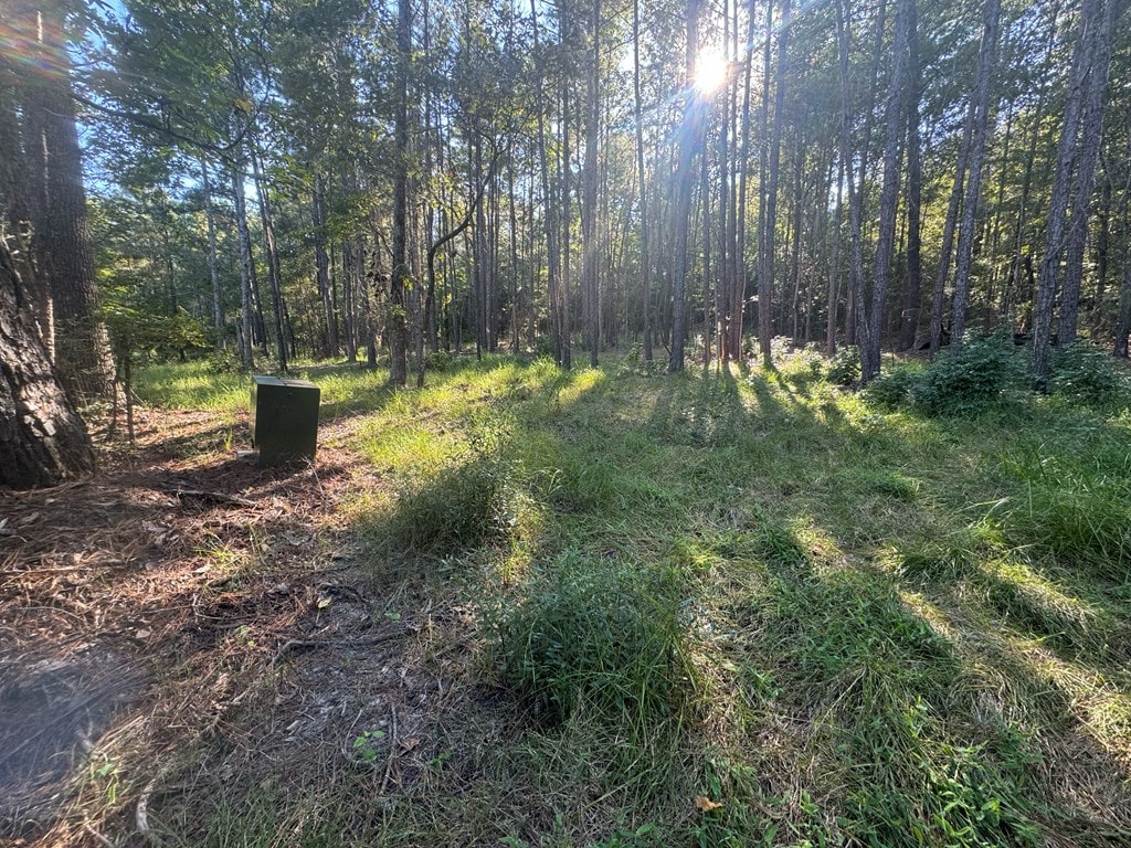 019 Daggar Dr, Brookeland, TX 75931