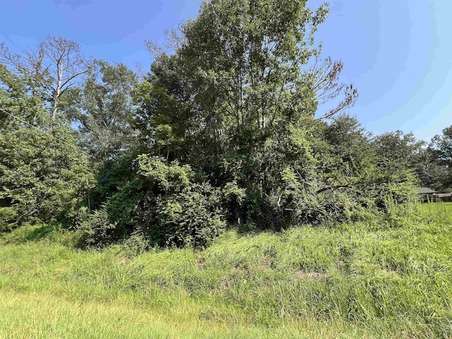 1786 E Gibson St, Jasper, TX 75951 - photo 5