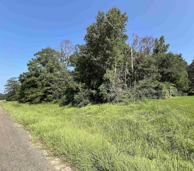 1786 E Gibson St, Jasper, TX 75951 - photo 4