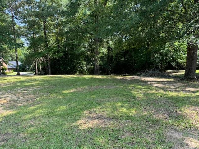 LOT80 Hunterwood Dr, Jasper, TX 75951