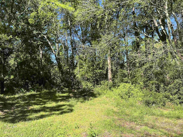1309 Roberts St, Jasper, TX 75951 - photo 18