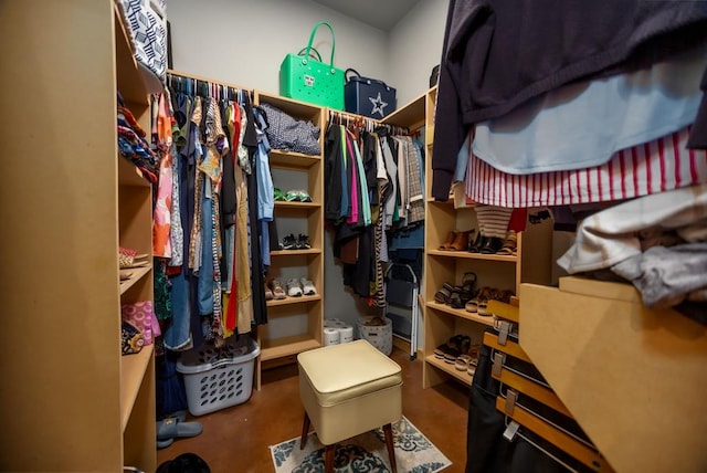 view of spacious closet