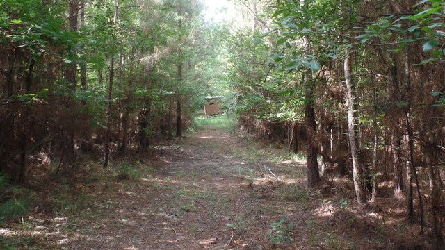 38.655AC County Road 20, Jasper, TX 75951