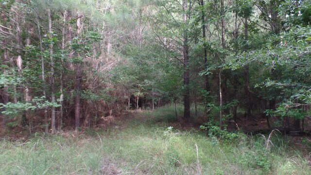 38.655AC County Road 20, Jasper, TX 75951
