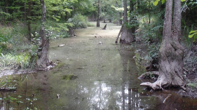 38.655AC County Road 20, Jasper, TX 75951
