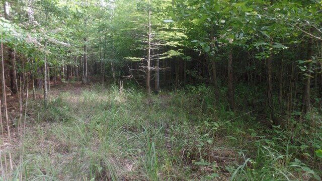 38.655AC County Road 20, Jasper, TX 75951